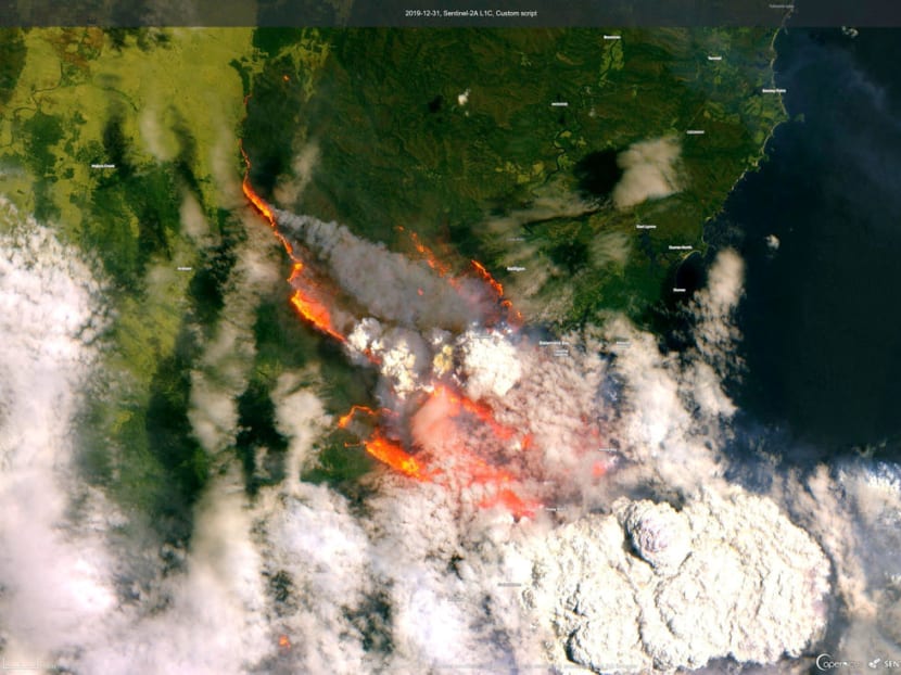 A satellite image of Bateman's Bay in New South Wales, one of a series of wild bushfires that have devastated Australia this summer, taken on Dec 31, 2019.