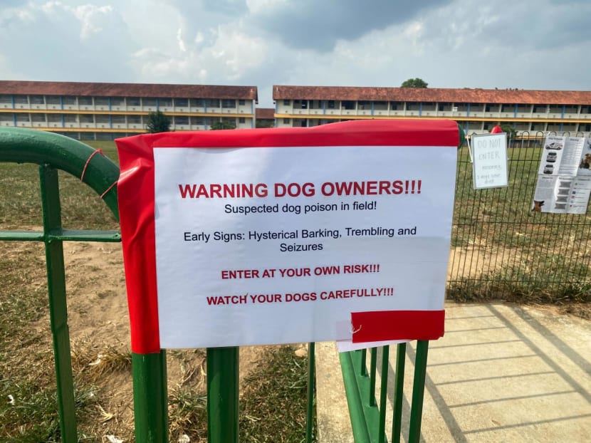 Hysterical barking, seizures': Kovan dog walkers avoid popular field after  2 dogs die of suspected poisoning - TODAY