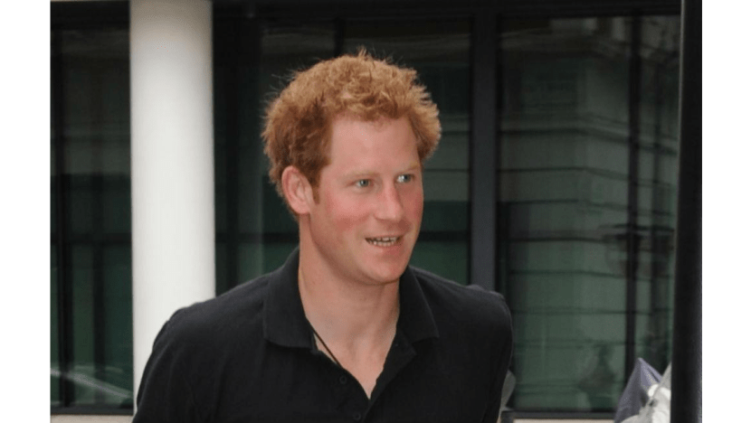 Prince Harry pushes for land mine ban