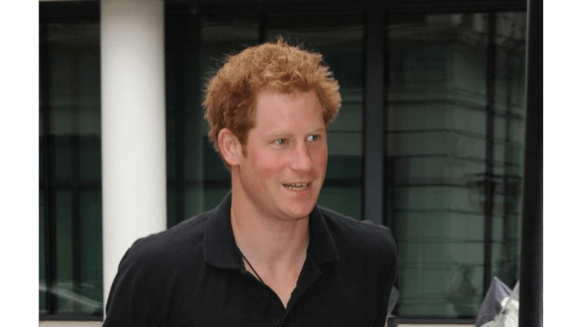 Prince Harry pushes for land mine ban Prince Harry pushes for land mine ban