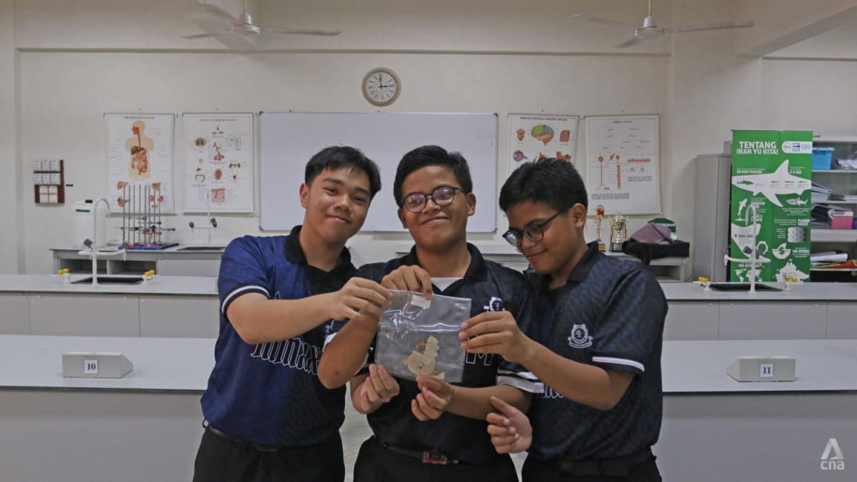 Memerangi polusi laut: Mahasiswa Sabah mencoba memproduksi bioplastik dari rumput laut