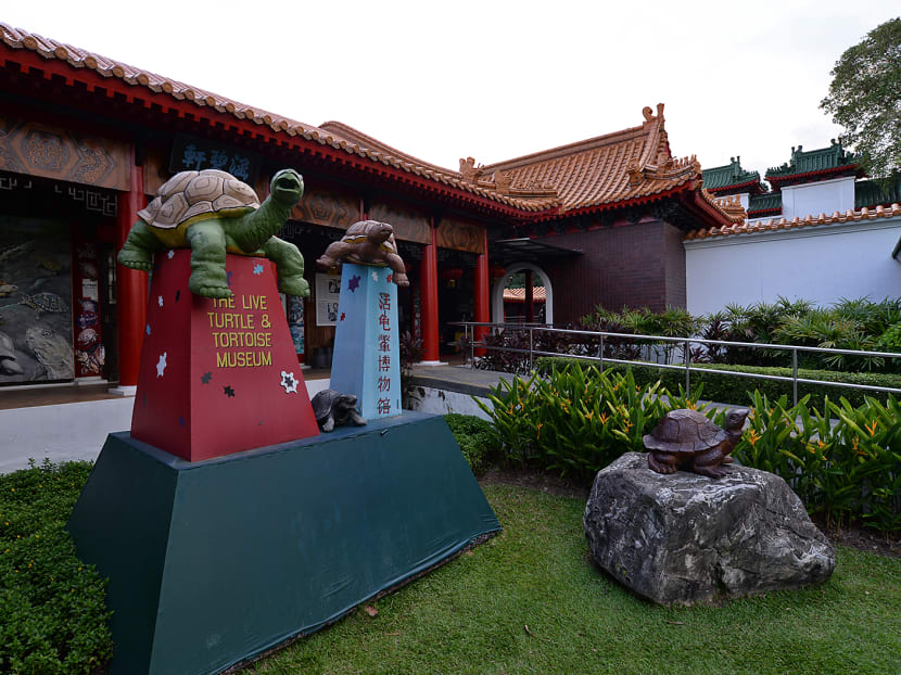 Facade of the Live Turtle and Tortoise Museum at Chinese Gardens. TODAY file photo