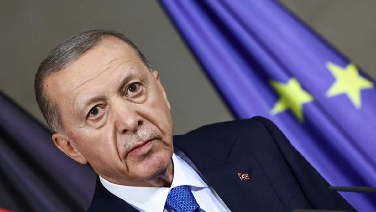 Türkiye’s Erdogan calls Netanyahu ‘butcher of Gaza’