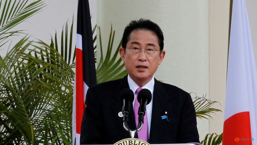 Japan's PM Kishida seeks closer ties with Africa in bid to woo 'Global South'