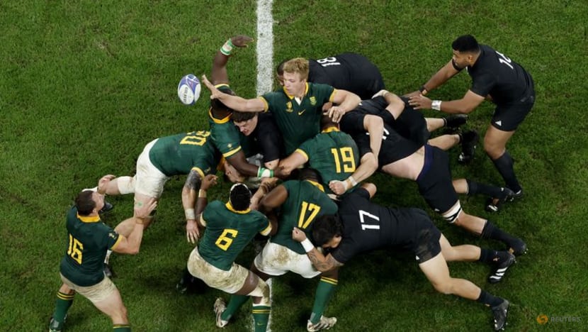 Springbok belief and physicality make for world beating mix 