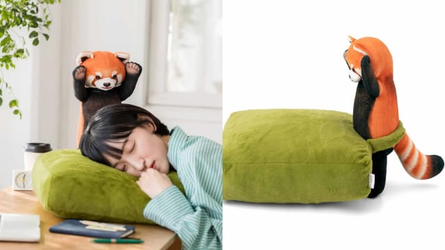 可爱的午睡小熊猫枕头组，确定能赶走“瞌睡虫”吗？