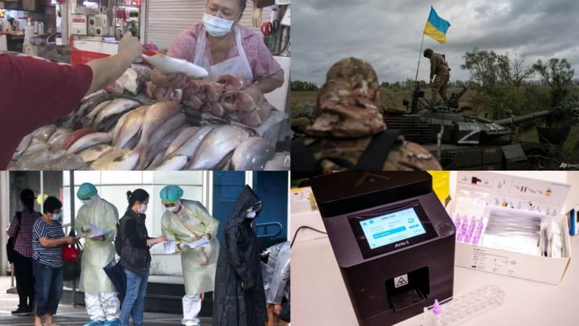 Daily round-up, Sep 22: Singapore fresh fish prices to keep increasing; analysts say Putin preparing for long war in Ukraine; Taiwan eyeing end to COVID-19 quarantine