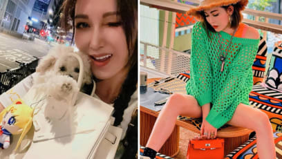 HK Star Rain Li Uses Hermès Birkin Bag As Dog Carrier