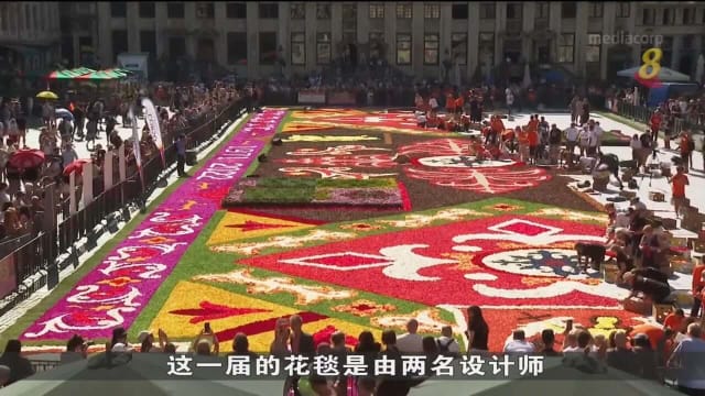 布鲁塞尔花毯节步入50周年 志愿者铺设出巨型花海