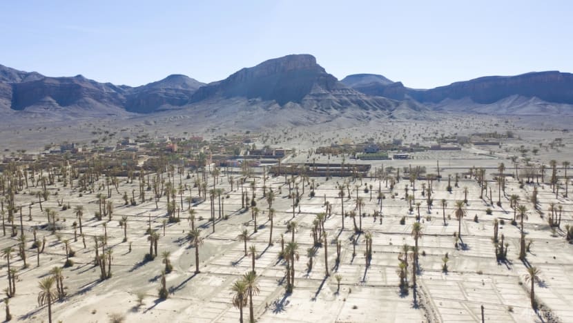 Climate change threatens centuries-old oases in Morocco Climate change threatens centuries-old oases in Morocco