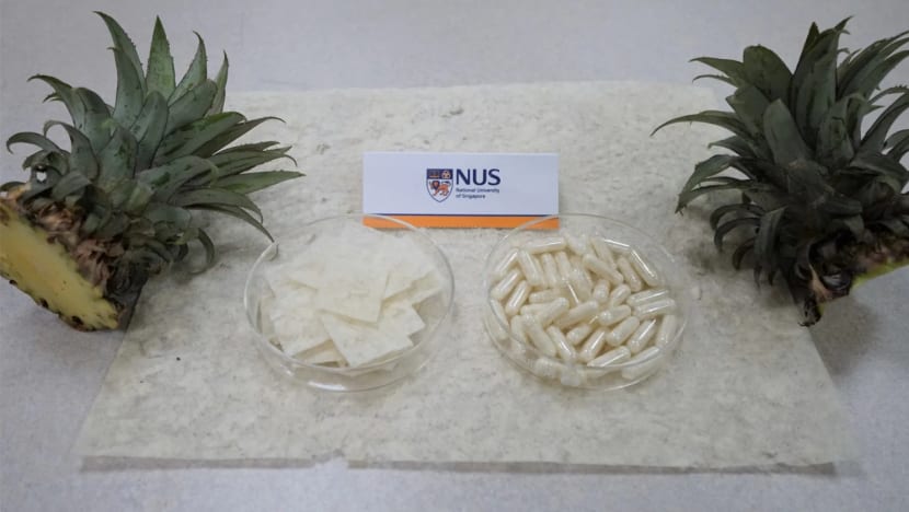 NUS researchers upcycle pineapple leaves into low-cost fat trappers