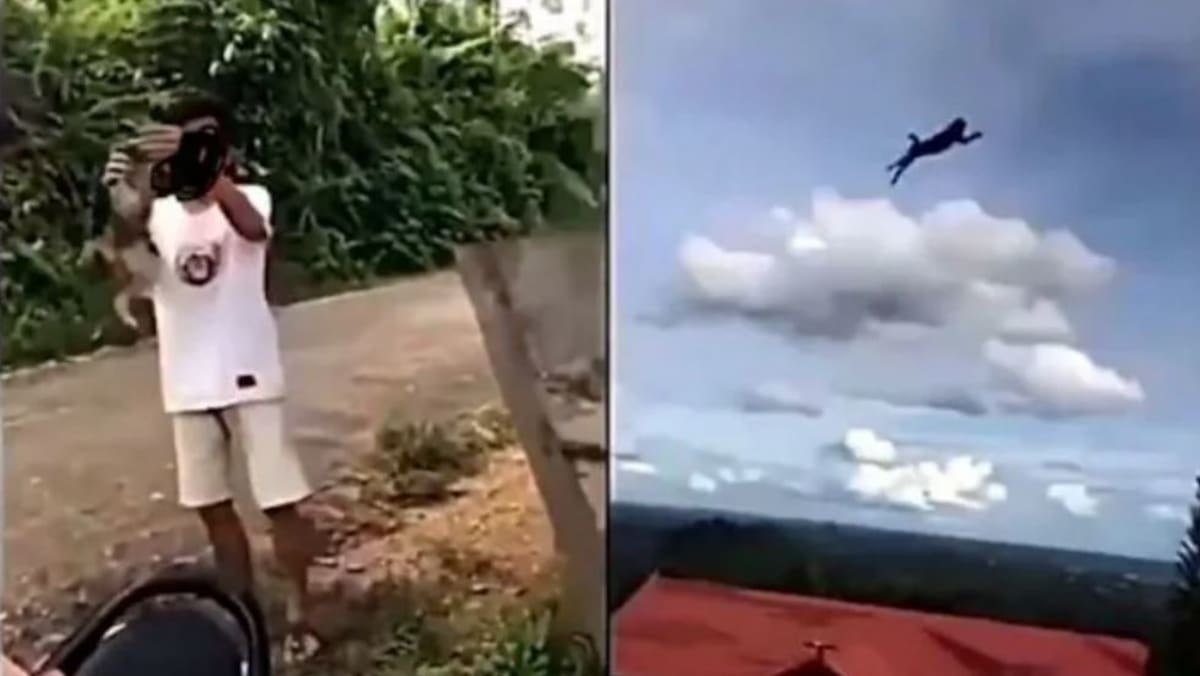 Indonesian teen who flung cat in the air for social media content