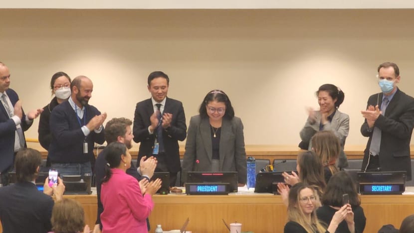 Singapore’s oceans ambassador calls for urgent action following UN high seas treaty success Singapore’s oceans ambassador calls for urgent action following UN high seas treaty success