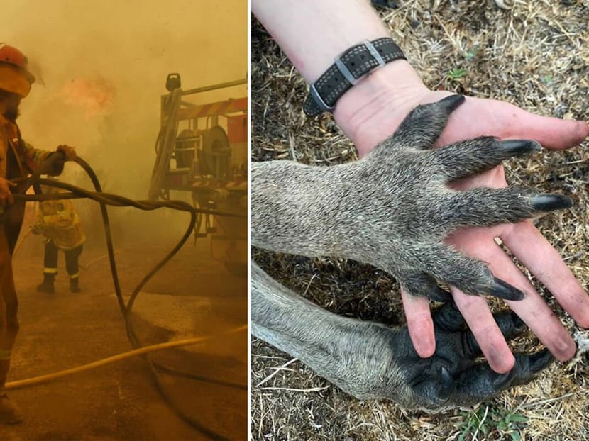 Worthy causes you should know about. Worthy causes you should know about.