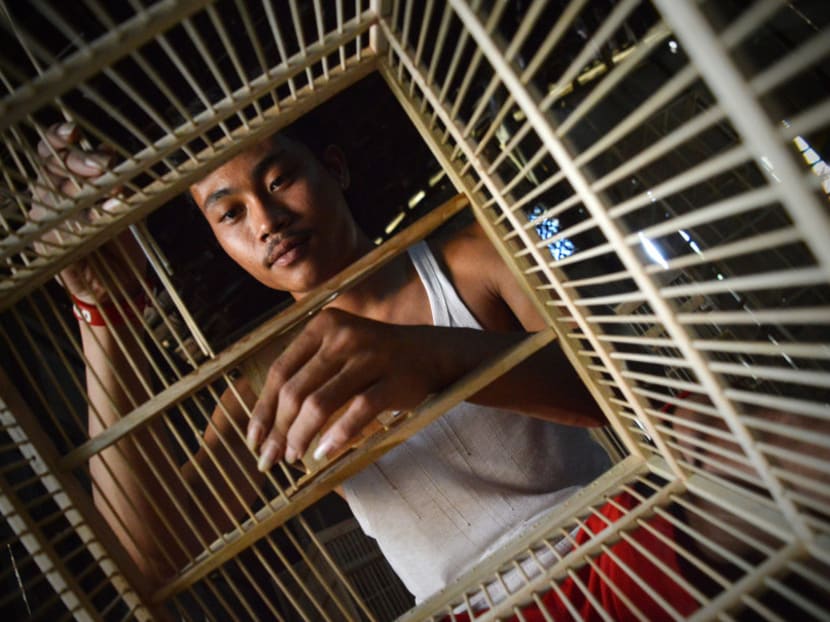 Meet Indonesia's birdcage craftsman TODAY