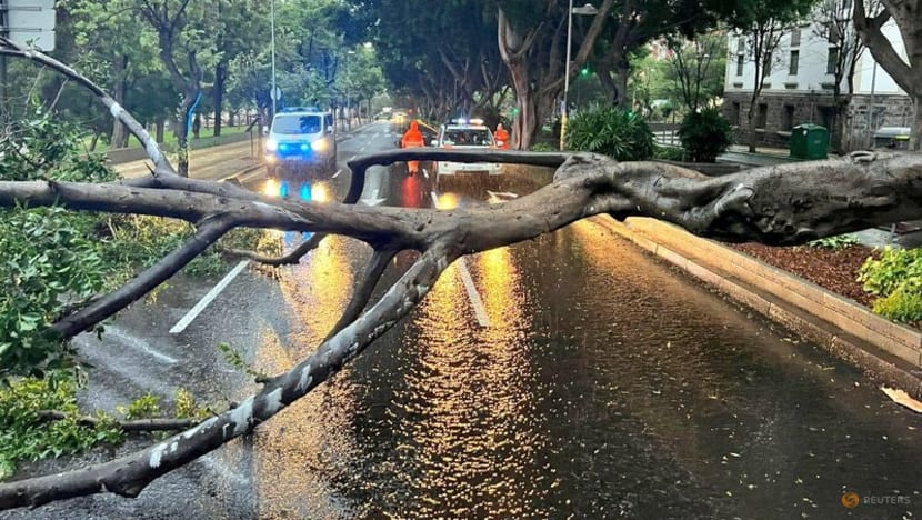 Flights cancelled as storm Hermine hits Spain's Canary Islands Flights cancelled as storm Hermine hits Spain's Canary Islands