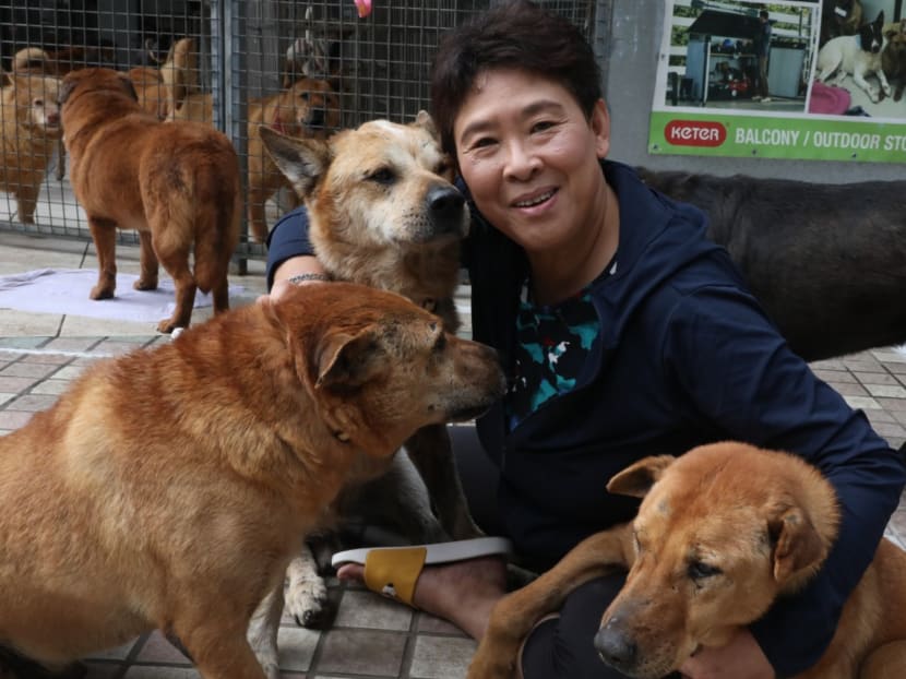 Hong Kong Homeless Dog Shelter founder Angela Chan at the shelter in Fanling.