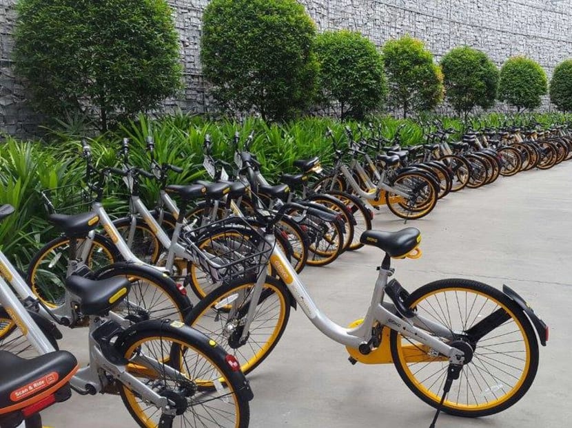 Bike-sharing firms must find a way to recover most, if not all, of their costs through the prices they charge, says the author.