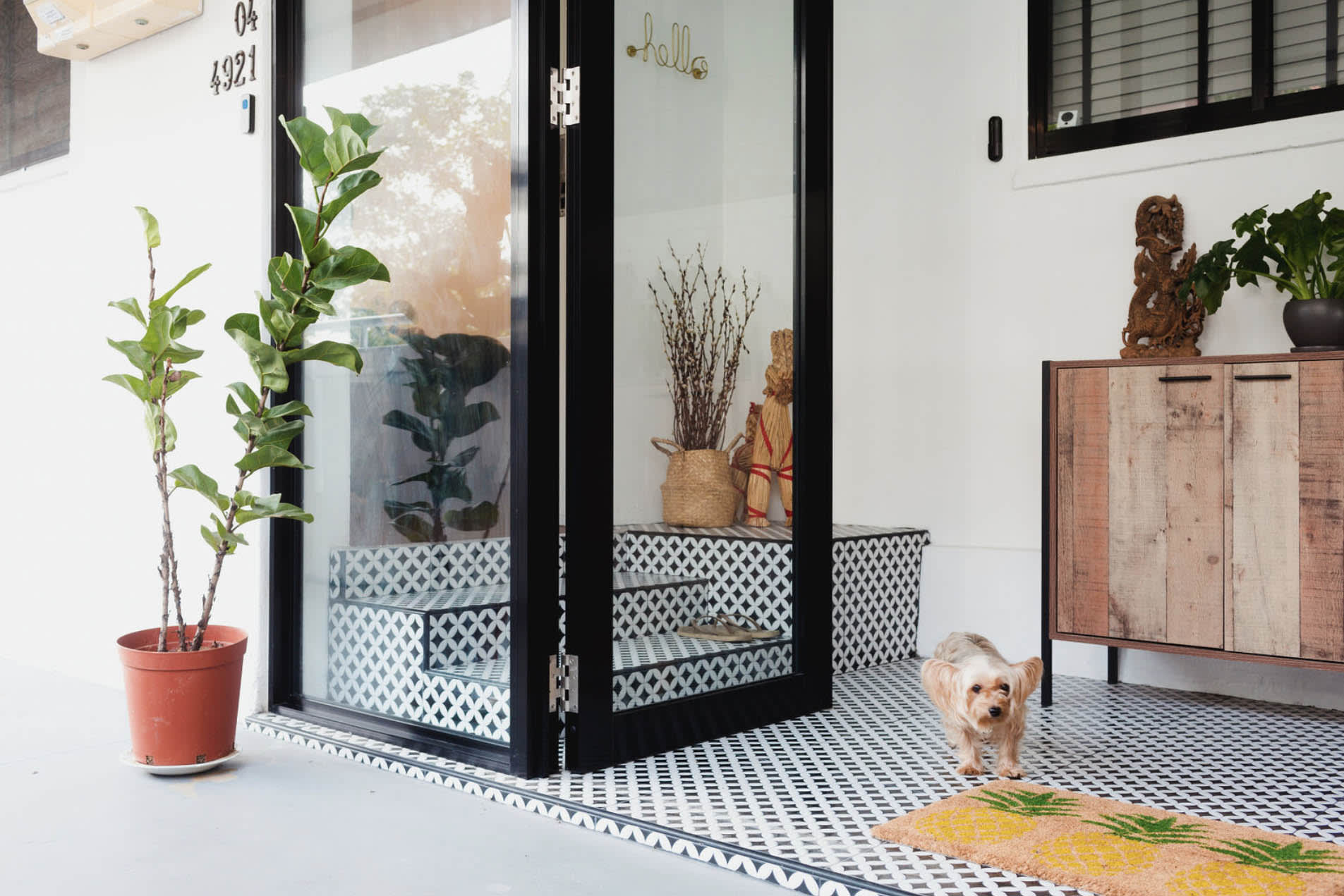 collate latest news & coverage 8days