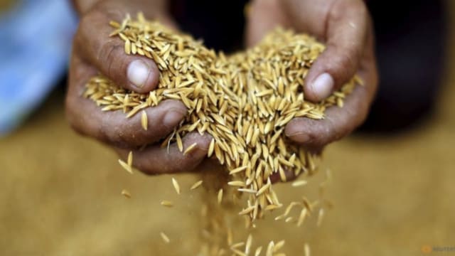 G7呼吁有大量食品库存国家和企业 协助缓解全球粮食危机