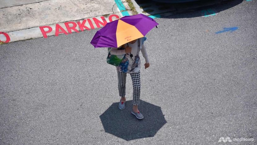 Commentary: Singapore’s climate change fight must be clear about these facts Commentary: Singapore’s climate change fight must be clear about these facts
