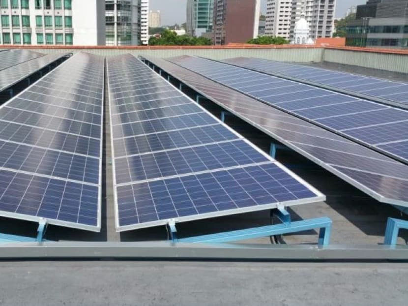The made-in-Singapore solar panels will serve to meet the growing demand for eco-friendly rooftop systems that work in conjunction with solar panel installations. Photo: REC