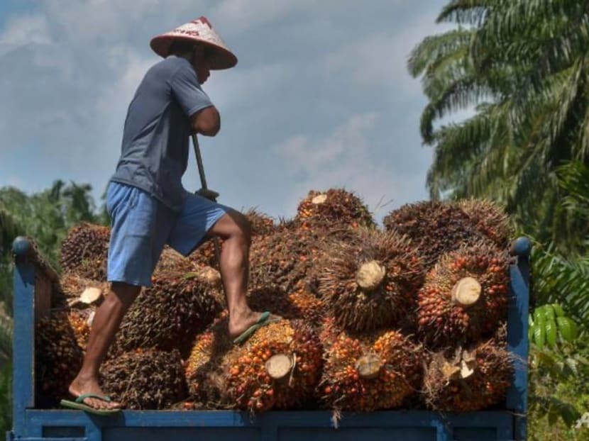 Indonesia will impose ‘strict sanctions’ on those violating palm oil export ban, says trade minister