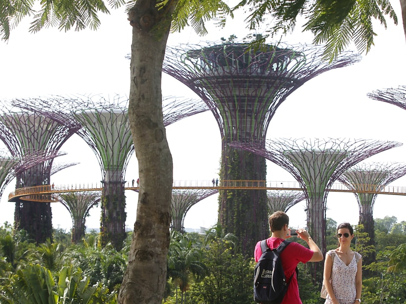 Gardens by the Bay was 13th in Facebook's most checked-in places around the world this year. TODAY file photo.