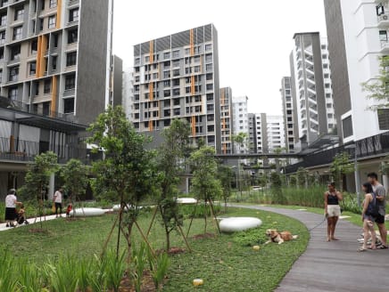 A view of a Build-to-Order public housing project located in Bidadari estate.