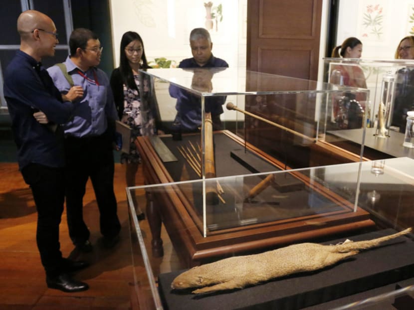 National Museum to open revamped galleries on Sept 19