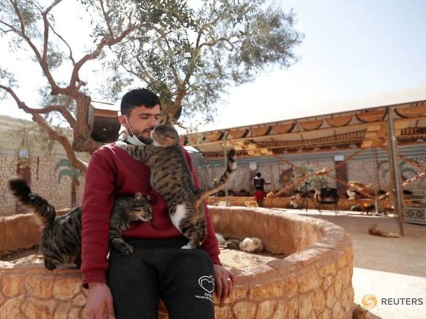 The feeding of the one thousand: Idlib sanctuary offers cats a refuge from war The feeding of the one thousand: Idlib sanctuary offers cats a refuge from war