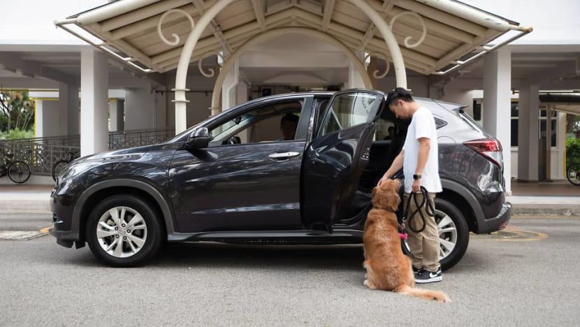 Grab launches on-demand GrabPet transport option Grab launches on-demand GrabPet transport option