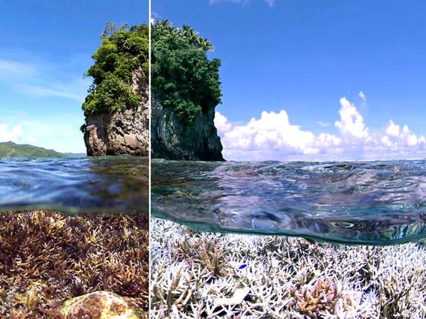 Impact of climate change shown through #10YearChallenge photos Impact of climate change shown through #10YearChallenge photos