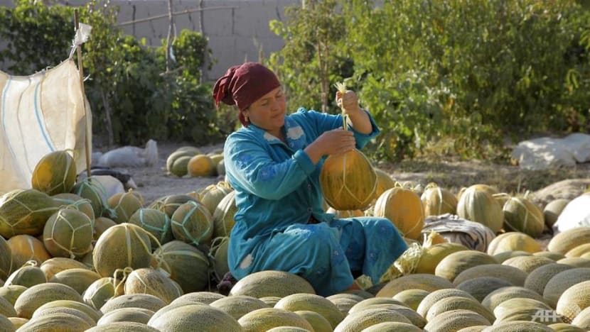 Bumper melon harvest sweetens Uzbekistan's COVID-19 pandemic woes Bumper melon harvest sweetens Uzbekistan's COVID-19 pandemic woes