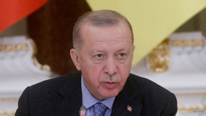 Ukraine's Zelenskyy, Turkey's Erdogan discuss Mariupol Ukraine's Zelenskyy, Turkey's Erdogan discuss Mariupol