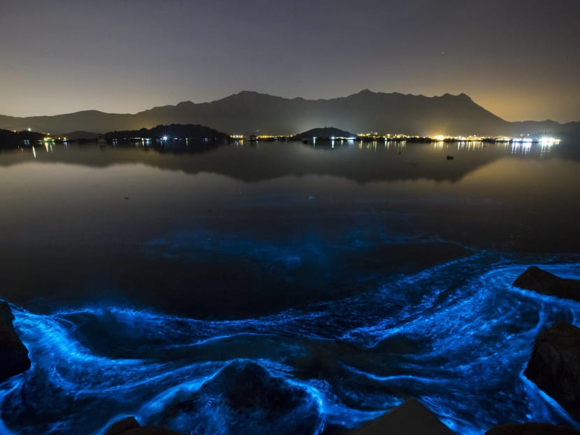 Magnificent blue glow of Hong Kong seas also disturbing