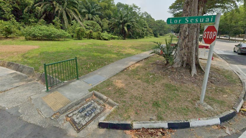 Woman found dead near Bukit Batok Nature Park suffered from major depressive disorder before killing young son: Coroner Woman found dead near Bukit Batok Nature Park suffered from major depressive disorder before killing young son: Coroner