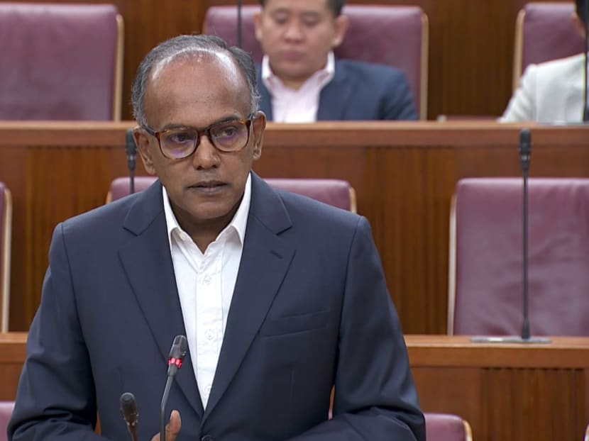 Law and Home Affairs Minister K Shanmugam speaking in Parliament on Tuesday (Feb 7). Photo: Parliament screengrab