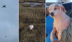 Pasukan penyelamat Britain pikat anjing dalam bahaya dengan sosej berjuntai dari dron   