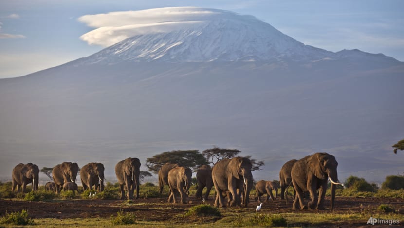 Singaporean who died on Mt Kilimanjaro appeared well following return to campsite: Local tour operator
