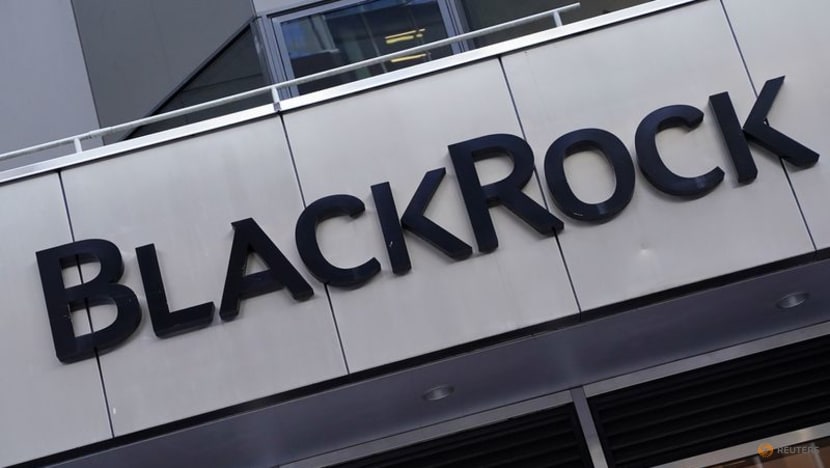 BlackRock names Hua Fan as China asset management joint venture head BlackRock names Hua Fan as China asset management joint venture head