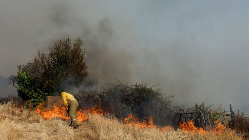 Record heatwaves drive EU's July excess deaths to 2022 high Record heatwaves drive EU's July excess deaths to 2022 high