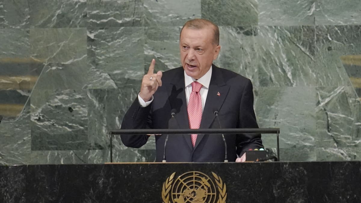 Pemimpin Turki kepada PBB: Menjadi ‘lebih berpengaruh’