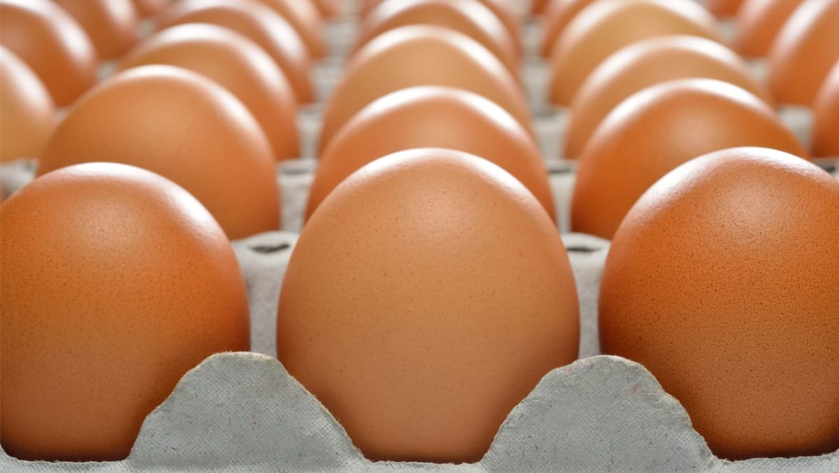 Singapore to start importing eggs from Indonesia