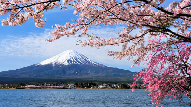 日本女登山客 富士山遭落石击中身亡