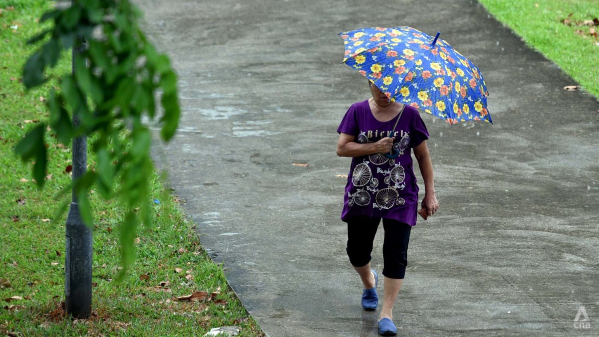 Singapore to ring in 2022 with cool and rainy days: Met Service - CNA