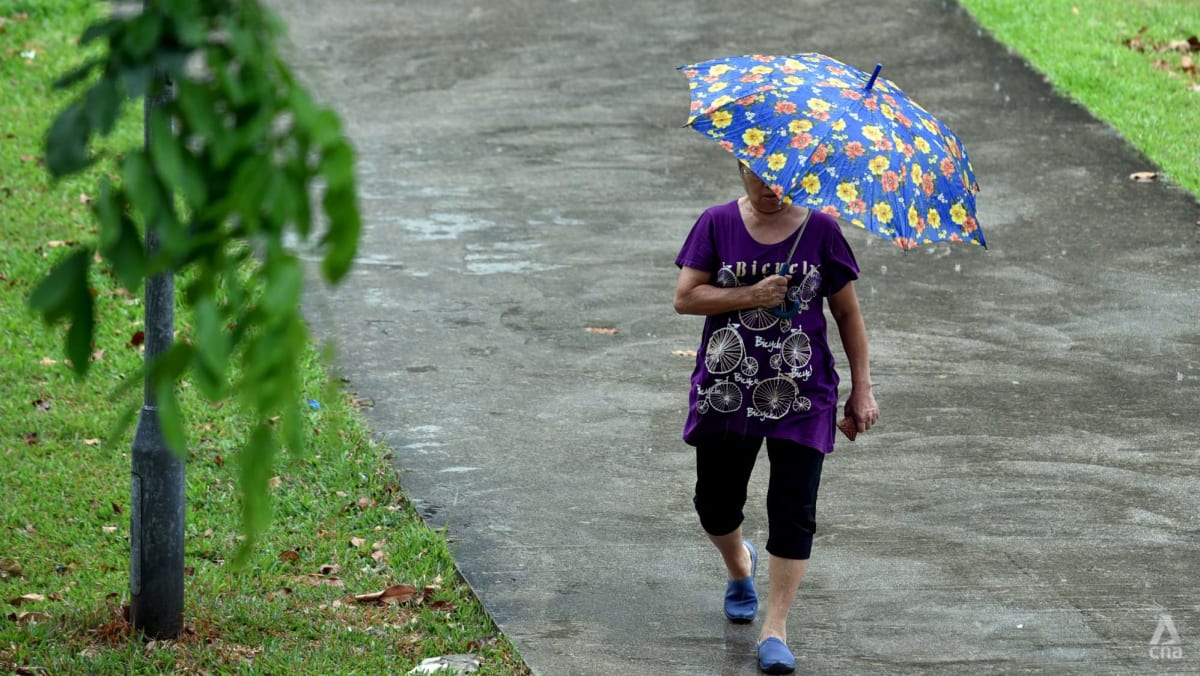 Gorgeous Expect Midday Thundery Showers Until End-january Before Wet Weather Eases Picture Concept Gorgeous Expect Midday Thundery Showers Until End-january Before Wet Weather Eases Picture Concept