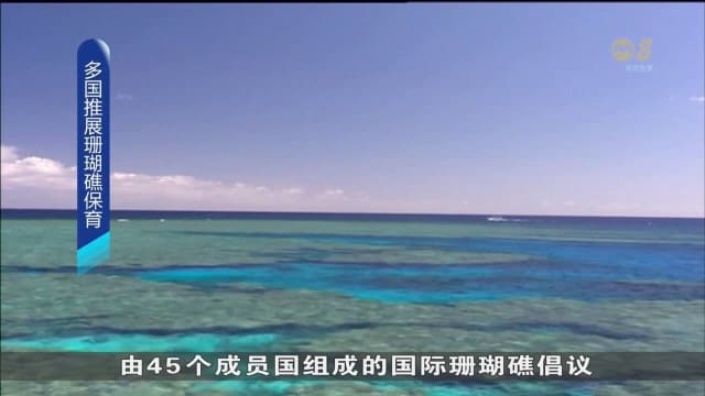 国际珊瑚礁倡议宣布 筹集120亿元推展珊瑚礁保育工作