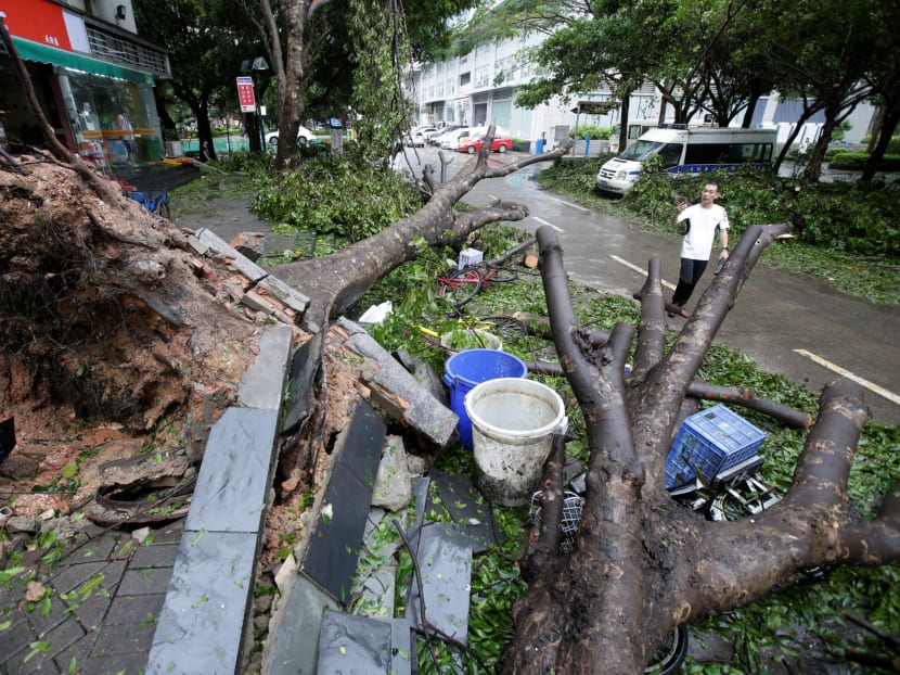 Photo of the day: A man walks past uprooted trees on a damaged street after Typhoon Mangkhut hit Shenzhen, Guangdong province, China on September 17, 2018.