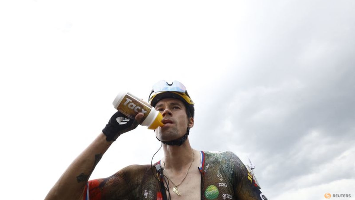 Injured Roglic abandons Tour de France - CNA